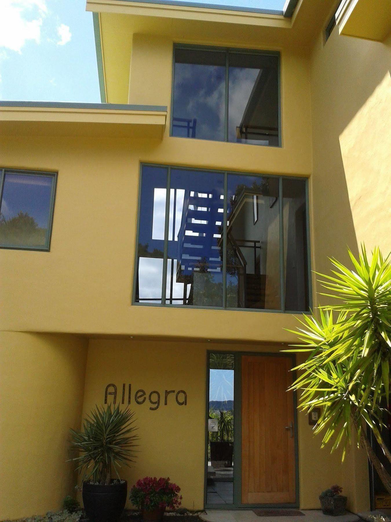 Allegra House Paihia Zewnętrze zdjęcie